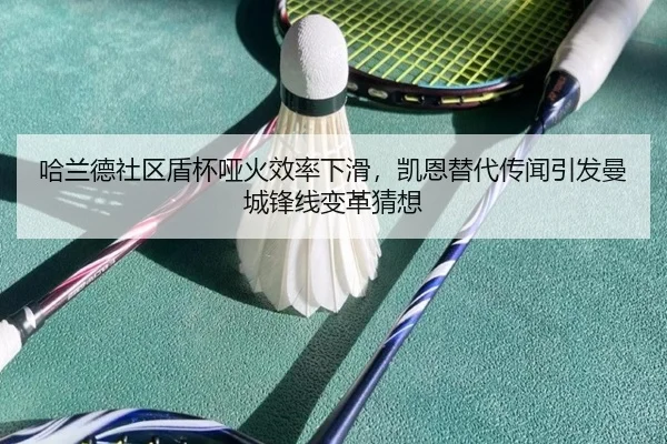 ha-lan-de-she-qu-dun-bei-ya-huo-xiao-lv-xia-hua-kai-en-ti-dai-chuan-wen-yin-fa-man-cheng-feng-xian-bian-ge-cai-xiang-2-743.jpg