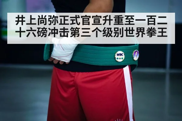 boxing championship belt