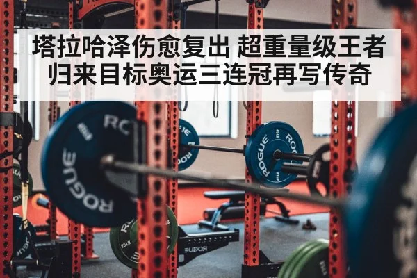 塔拉哈泽伤愈复出 超重量级王者归来目标奥运三连冠再写传奇